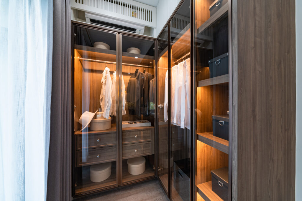 Luxury Modern Closet